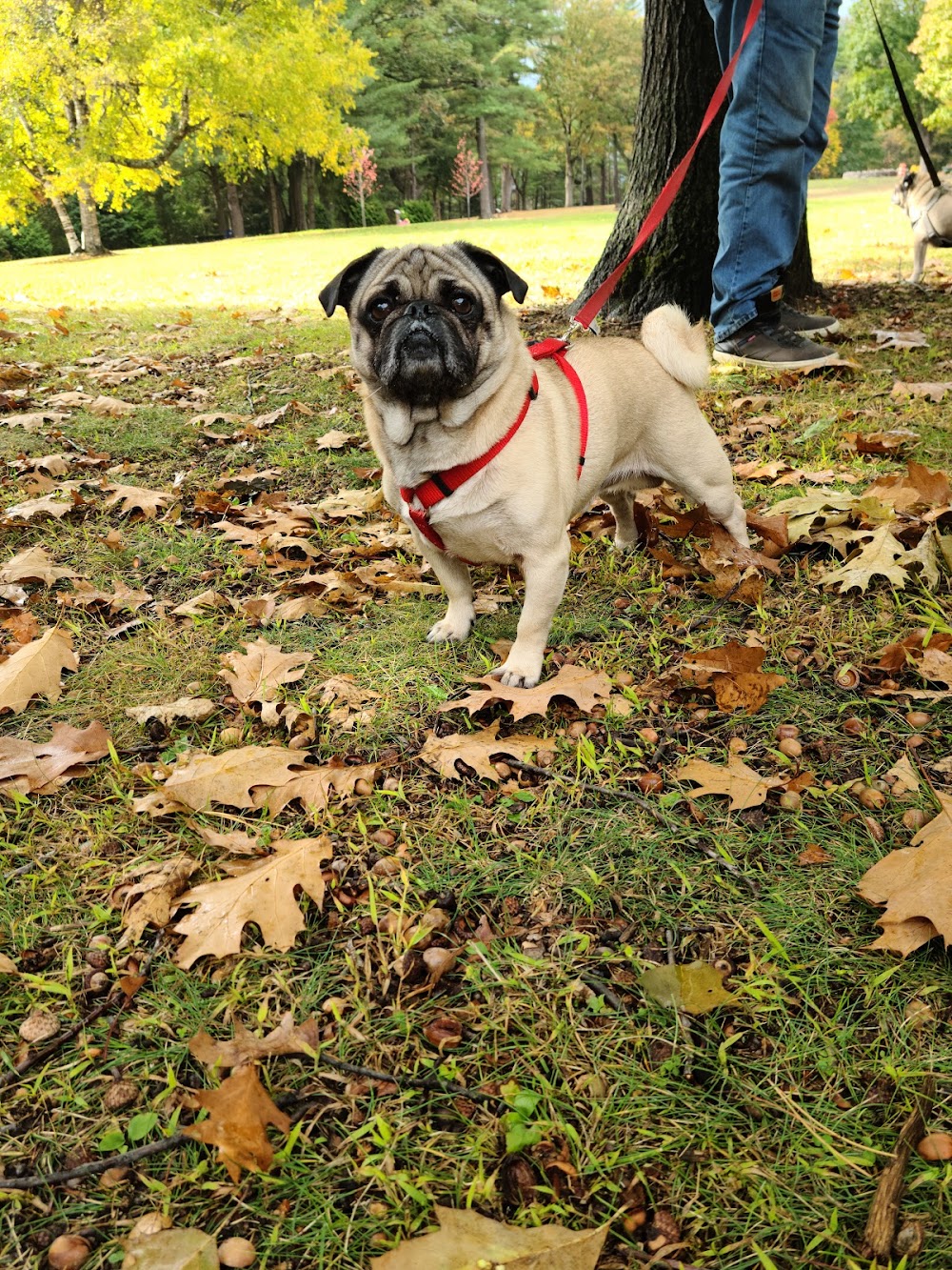 Johnstown, NY Travel Guide